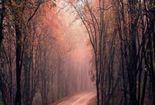 2-6惨败，丁俊晖一轮游出局，八强决出2席：新科.