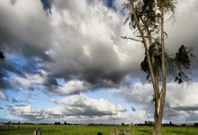 2024全国青少年高尔夫球队际锦标赛总决赛落幕中国新闻网.