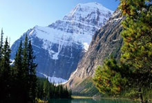 [乒乓球]王艺迪速胜对手晋级女单16强.